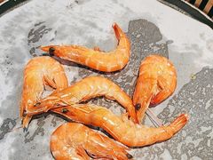 -苏格里岛自助海鲜烤肉(中州万达店)