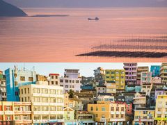 -漩门湾国家湿地公园