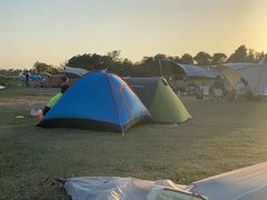 -春花秋色城市公园