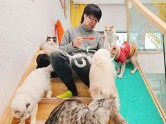-猫在这儿猫咪咖啡馆·撸猫馆