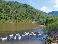 -白河湾生态旅游一条川