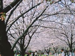 -南京邮电大学(仙林校区)