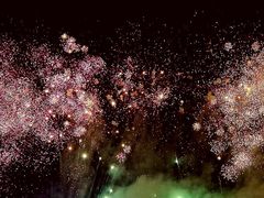 -花博汇(知音花月夜)