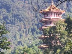 -深圳仙湖植物园