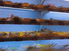 自助取餐区-马路边边火锅串串(观前街店)