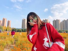 -映月湖中央公园