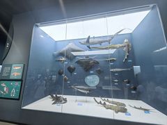 -国家自然博物馆