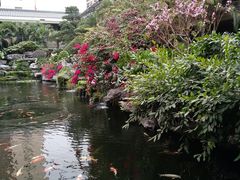 -桃园盛宴·岭南粤菜·手工茶点(南庄店)