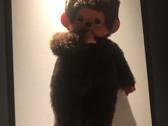 -物质生活书·酒吧