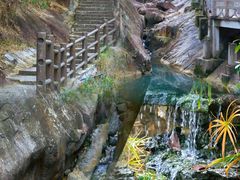 -广州白江湖森林公园