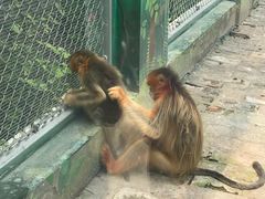 -西安秦岭野生动物园