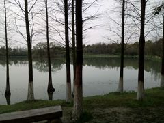 -艾溪湖湿地公园