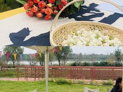 -红山体育度假乐园