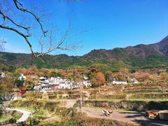 -塔川景区