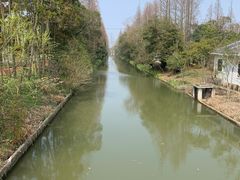 -上海长兴岛郊野公园