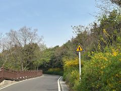 -游子山休闲旅游区