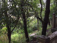 -上海佘山国家森林公园西佘山园