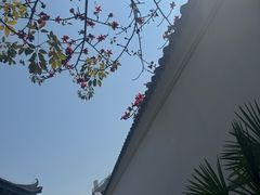 -荔湾湖公园