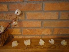 -春庄咖啡SpringHues(钟楼小区店)