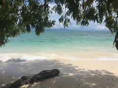 -东姑阿都拉曼海洋公园