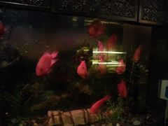 -华夏良子·足道SPA艾灸(王府井店)