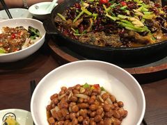 -老板恋上鱼(高新万达店)