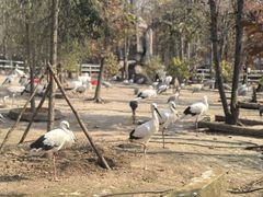 -哈尔滨北方森林动物园