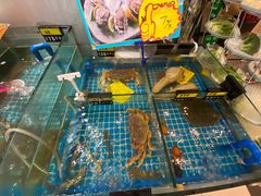-佤家大院(南门店)