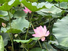 -莲池书院博物馆