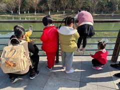 -昆山城市生态森林公园