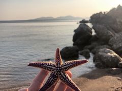 -CASANOVA西餐厅(海信广场店)