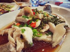 -喜来酌海鲜·饺子(和平一店)