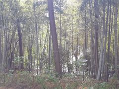-九龙潭景区