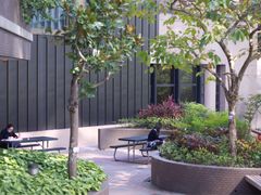 -香港大学