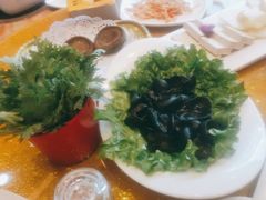 -清真军邺·金富苑肥牛(石坡街旗舰店)