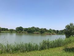 -苏州太湖国家湿地公园