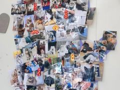 -芭比堂动物医院·CT·微创中心(新顺分院)