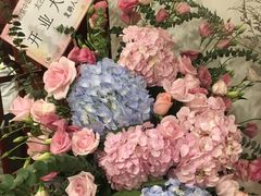 -裕和堂中医推拿艾灸(太古汇臻品店)