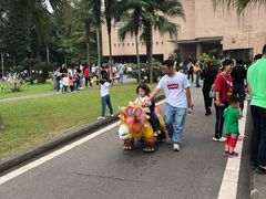 -自贡恐龙博物馆