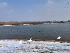 -北龙湖湿地公园