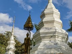 -西双版纳傣族园