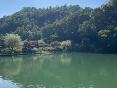 -桃花岭景区