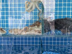 -故乡家韩国料理(丹东街店)