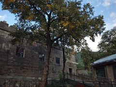 -香山公园
