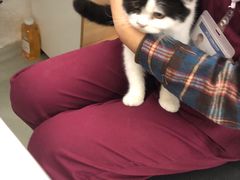 -北京恒爱动物医院(清景园分院)