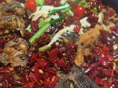 -老板恋上鱼(恒隆广场店)