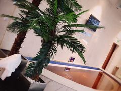 -水晶之星洗浴温泉汗蒸