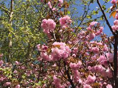 -万源龙顺度假庄园生态观光园