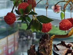 -故里和山·成都火锅(欢乐港湾店)