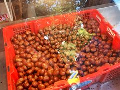 陈记糖炒栗子-陈记栗子(长宁路店)